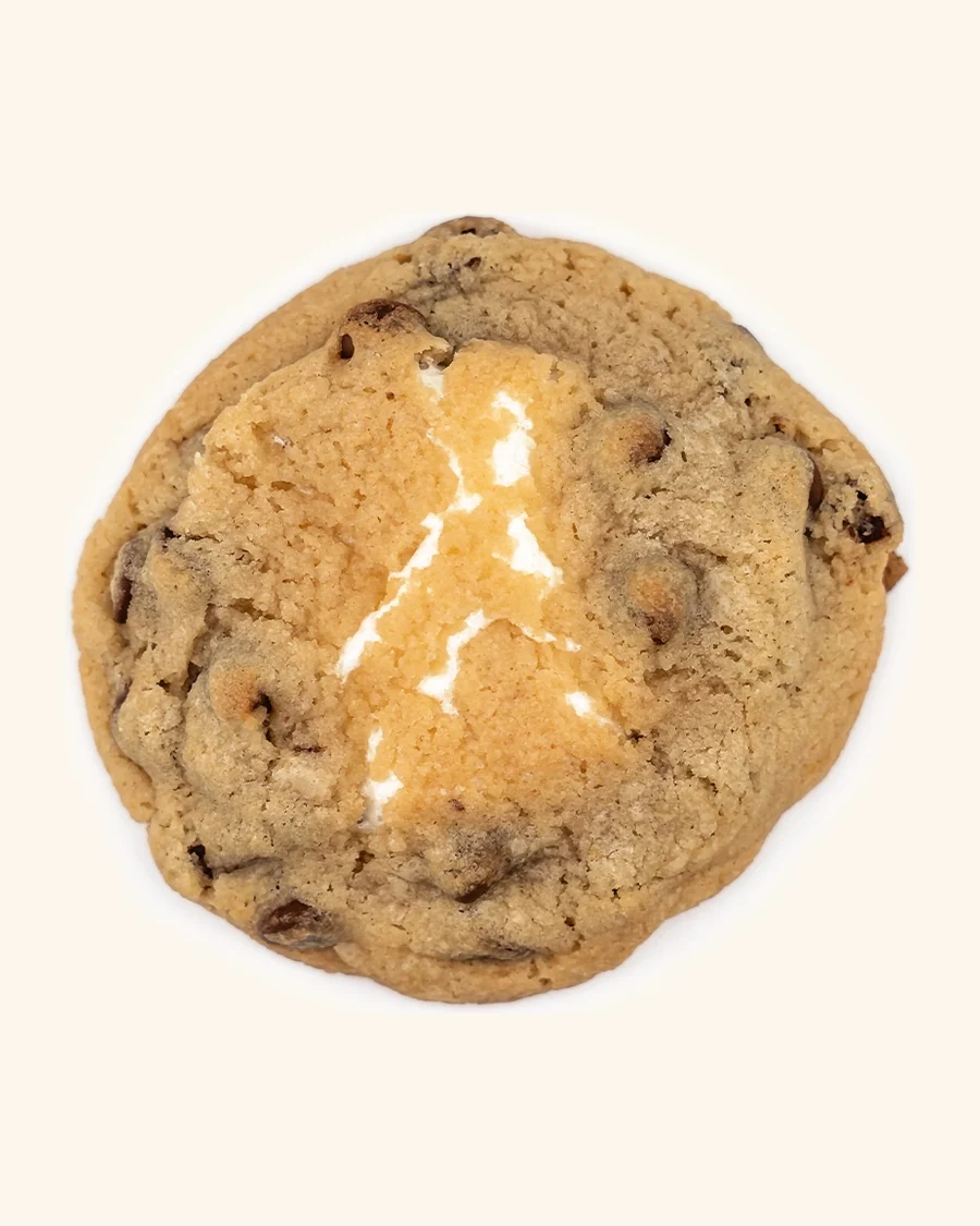 A bear-sized s&rsquo;mores cookie with melted marshmallow and chocolate chips