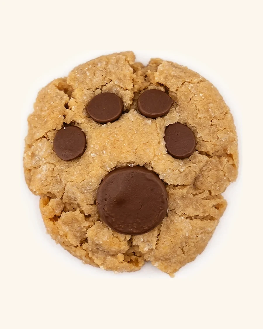 A Cub Kisses peanut butter cookie topped with chocolate kisses in a bear paw pattern