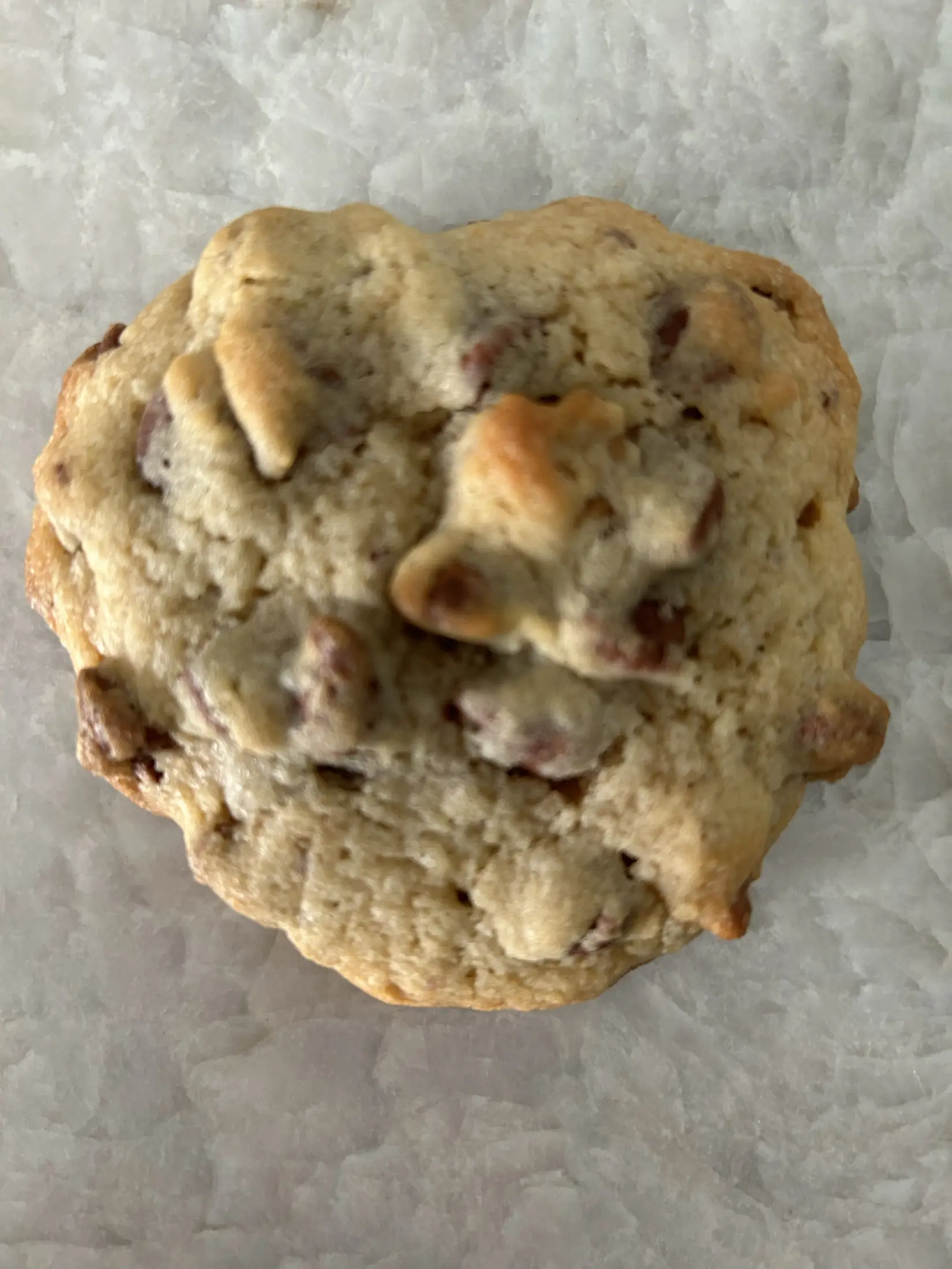 A thick chocolate chip cookie fresh from the oven