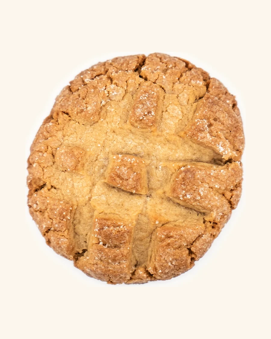 A bear-sized peanut butter cookie with the classic criss-cross bear paw pressed into the top